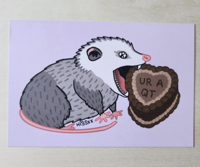 Costco Chocolate Cake Opossum Postcard