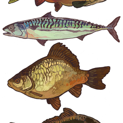 T-shirt: fish yellow 