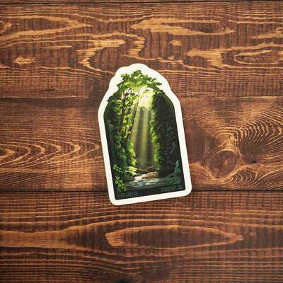Fern Canyon Art Sticker