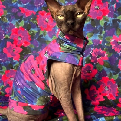 Still life - sleepwear