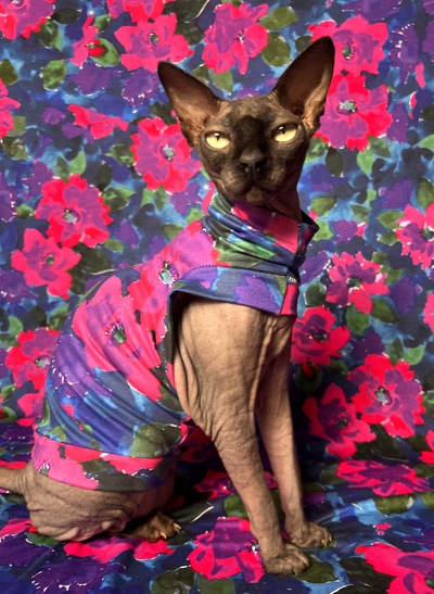 Still Life - Sleepwear