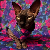 Still Life - Sleepwear - Thumbnail 1