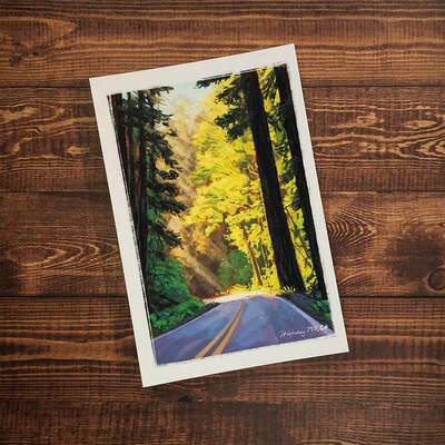 Highway 199 Sunset Postcard