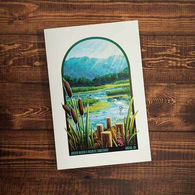 Arcata marsh & sanctuary postcard