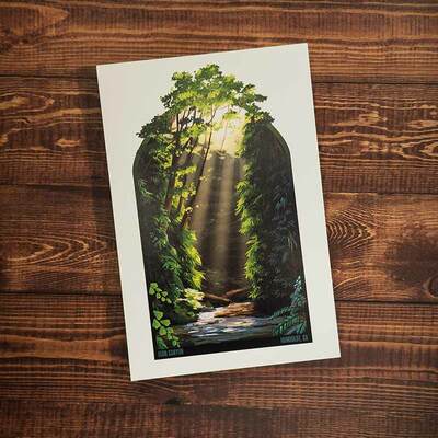 Fern Canyon Postcard