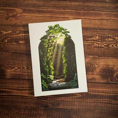 Fern Canyon Greeting Card