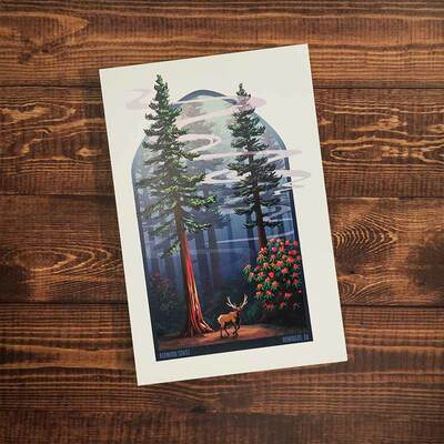 Redwood coast postcard