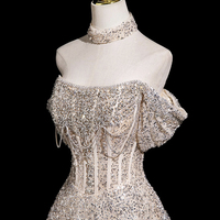 Champagne Tulle Sequins Long A-Line Prom Party Dress - Thumbnail 1