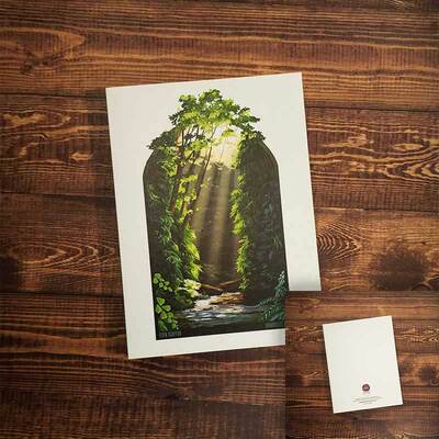 Fern canyon greeting card