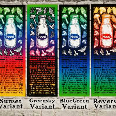 2025 phish at hampton coliseum (lot limited edition print)