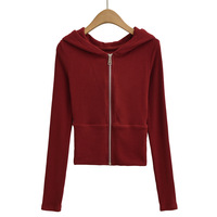 Fashionable and casual threaded ribbed stitching hooded long-sleeved zip-up top sweatshirt - Thumbnail 5