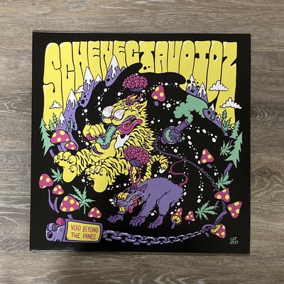 Schenectavoidz - void beyond the pines 12" lp