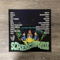 Schenectavoidz - Void Beyond the Pines 12" LP - Thumbnail 1