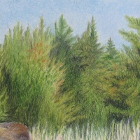 Scarecrow And Scaredy Cat, Original colored pencil artwork, By N.E.Thompson, size 11x17 inches - Thumbnail 3