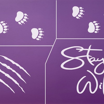 "stay wild" silkscreen stencil for baseball caps 