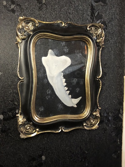 Framed Original Fox Jaw Painting