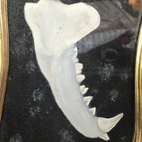 Framed Original Fox Jaw Painting - Thumbnail 1
