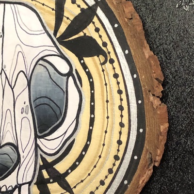 Cat skull wood slice