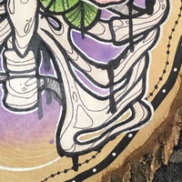 Ribcage Wood Slab - Thumbnail 3