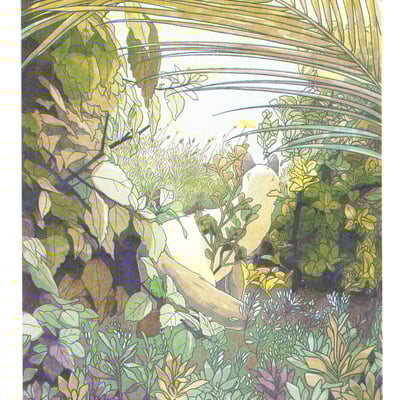 Frankie outside risograph print (2025)