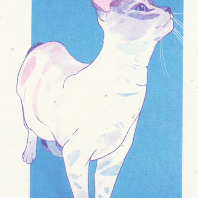 Willow risograph print