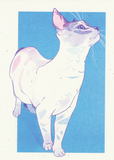 Willow Risograph Print