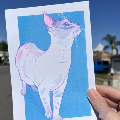 Willow risograph print