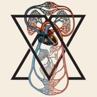 Circulatory Tee - Thumbnail 1