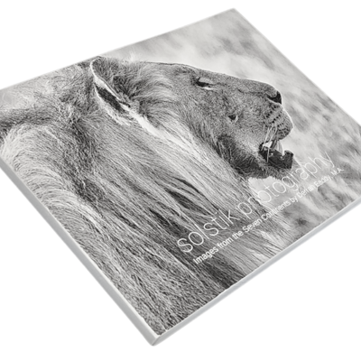 Watching the world: mini global photography book