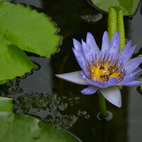 Watching the World: Mini Global Photography Book - Thumbnail 2