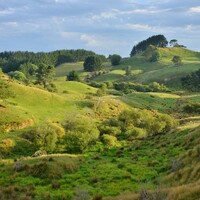 Watching the World: Mini Global Photography Book - Thumbnail 3