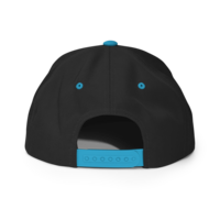 HATTERS GONNA HAT/ DEMOCRAT HAT/ Snapback Hat - Thumbnail 11