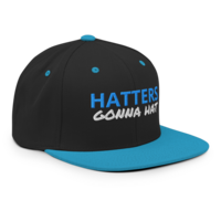 HATTERS GONNA HAT/ DEMOCRAT HAT/ Snapback Hat - Thumbnail 38