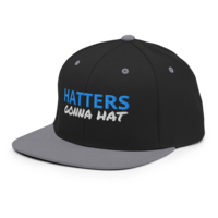 HATTERS GONNA HAT/ DEMOCRAT HAT/ Snapback Hat - Thumbnail 48