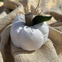 Mini Pumpkin - Thumbnail 1