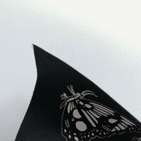 Alice in Wonderland Crest Kawaii Steampunk Sew-on Back Patches - Thumbnail 3