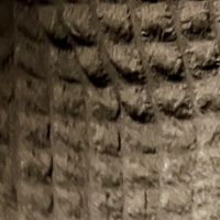 Umber - Catbumps - Thumbnail 3