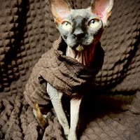 Umber - Catbumps - Thumbnail 2