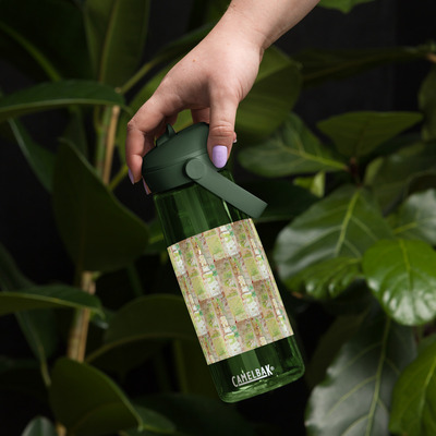 Flip straw water bottle - reminiscences