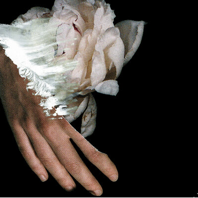 Yasuhito Fujinami 'Lotus' CD