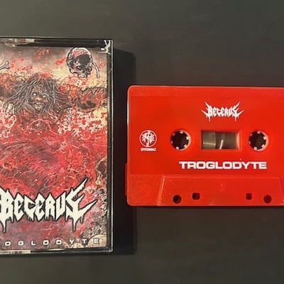 Becerus - troglodyte - Thumbnail 1