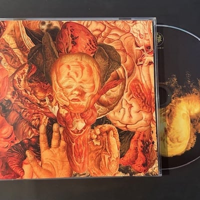 Festerdecay - reality rotten to the core (cd)