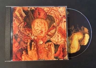 FESTERDECAY - Reality Rotten to the Core (CD)