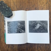 Graveyard Flora - Thumbnail 1