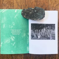 Graveyard Flora - Thumbnail 4