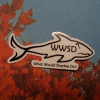 WWSD Sticker - Thumbnail 1