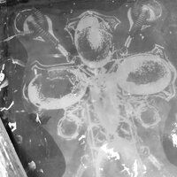 Industrial Mechanical Goth Cross Sew-on Patches - Thumbnail 4