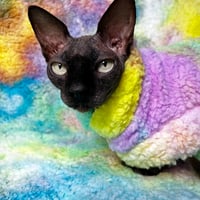 Rainbow Sherbet Sherpa - Thumbnail 1