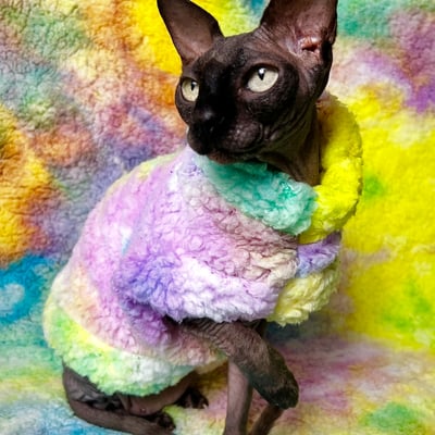 Rainbow sherbet sherpa