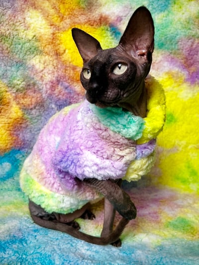 Rainbow Sherbet Sherpa